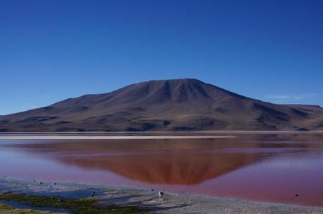 Laguna colorada, Bolivie