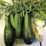 La Recette du cahier de Melody : les courgettes marinées à la sauge tte Marinees a la Sauge 2