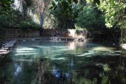 L'Affrique du Sud - la Zambie 07 07 13 KAPRISHIA HOT SPRINTS (2)