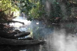 L'Affrique du Sud - la Zambie 07 07 13 KAPRISHIA HOT SPRINTS (3)