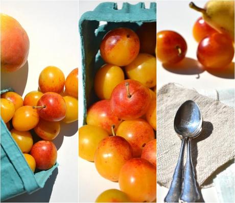 Tarte poires-mirabelles à l'açaï Tarte-mirabelle-poire-acai-Montage.JPG