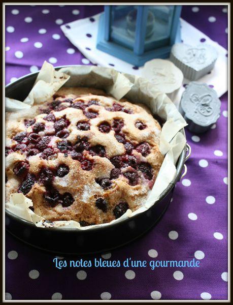 Gâteau des Marais à la framboise IMG_8560__