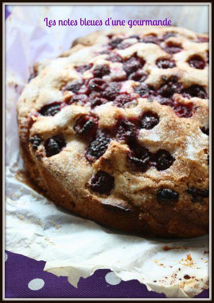 Gâteau des Marais à la framboise IMG_8580_