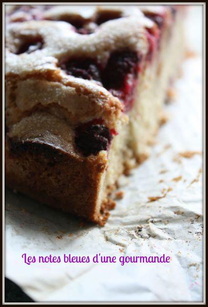 Gâteau des Marais à la framboise IMG_8592_