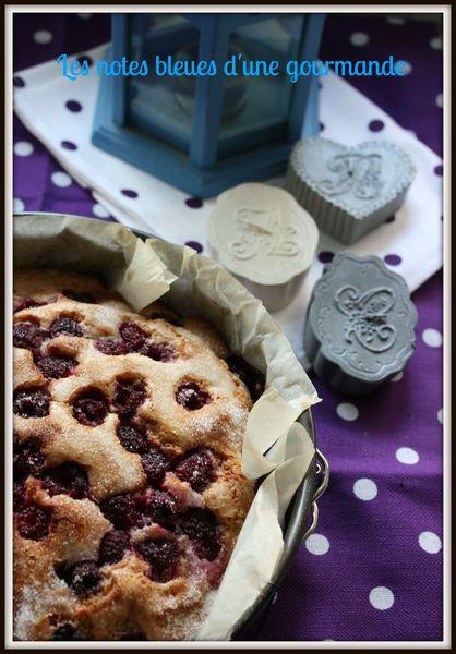 Gâteau des Marais à la framboise IMG_8567_