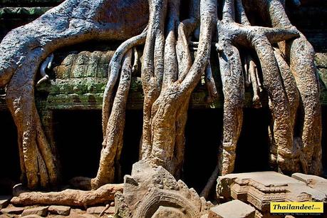De la Thaïlande aux temples d'Angkor
