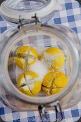 CitronsConfitsSel-21 CitronsConfitsSel-21