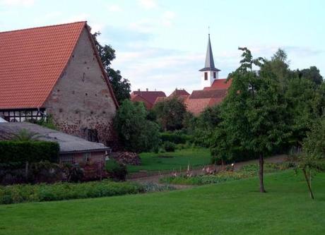 seebach_france_photo_thapgood