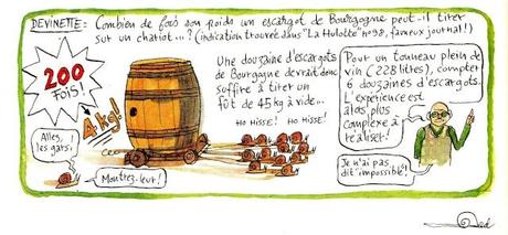 #Chroniques de la vigne #Fred Bernard