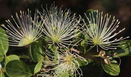 L'Afrique du Sud - la Tanzanie 32 - 06 08 13 Camping Crocodile (2)