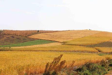 L'Afrique du Sud - la Tanzanie 02 - 02 08 13 Border a Mbeya (2)