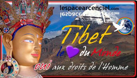 Le Tibet une Chance pour la Conscience Mondiale ? tibet-01-05-2008.jpg