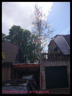 La tradition du Maibaum