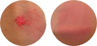 Ooh la la… le blush Lily Lolo Ooh la la… le blush Lily Lolo