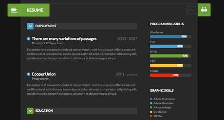CV : Les 10 plus beaux templates WordPress ShiftCV AGDMAG