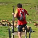 Comme une envie de trail… Course trail