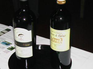 Castillon-Cotes de Bordeaux : Château de Belcier IMGA9137