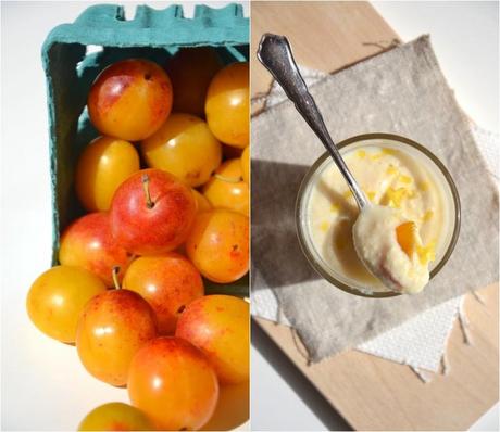 Mousse végétale citron-verveine, compotée de mirabelles Mousse-citron-verveine-Montage1.JPG