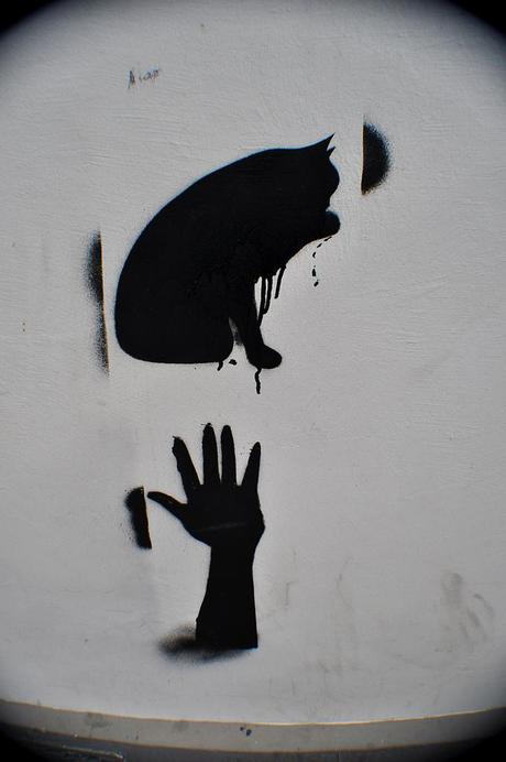 Divers Street Art (#19) Chat noir et hand pochoir