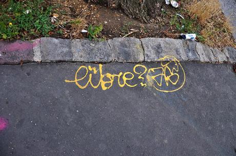 Divers Street Art (#19) Libre ? (2)