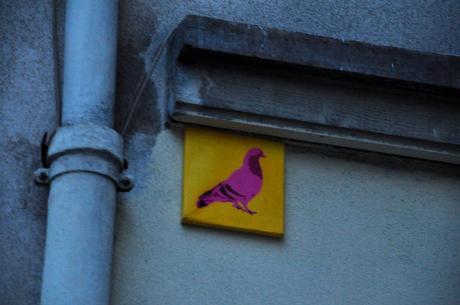 Divers Street Art (#19) Pigeon Rose