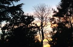 Lire les classiques - Charles Baudelaire 9.jpg