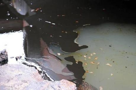 Pollution au Nigeria: les victimes rejettent l'offre de Shell polo.jpg