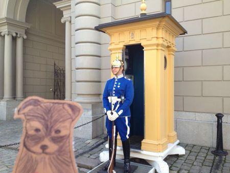 Ginger en vadrouille! Ginger_tr_s_impressionn_e_par_le_garde_du_palais_royal_de_Stockholm___su_de