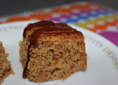 Mes recettes vos réalisations 119 gâteau au spéculoos yas