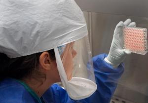 H1N1: 46 volontaires se laissent infecter pour la science – ICAAD-NIH