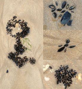 portes ouvertes photo__1_