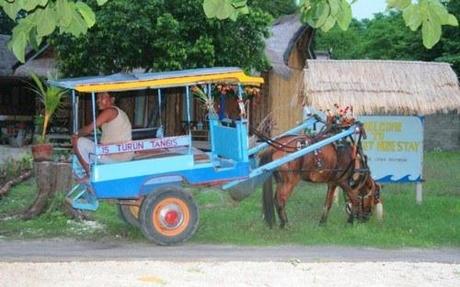 Se déplacer à Gili Trawangan : le cimodo