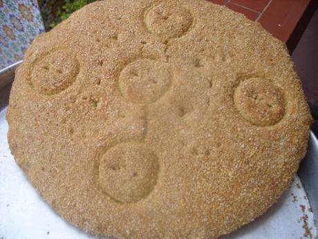 Tajine de boeuf aux courgettes et haricots verts SS852866
