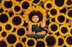 Tous nés pour rayonner Tous nés pour rayonner