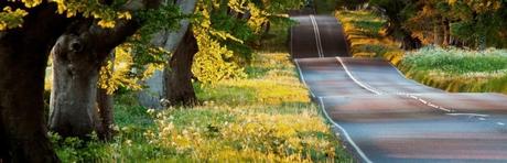 Avancer sur le chemin tumultueux de la vie! la route est longue