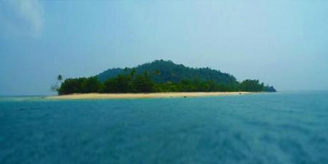 Web Robinson : Un PDG français va vivre et travailler 40 jours depuis une île déserte ile-indonesie-Toutlemonde