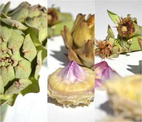 Tarte rustique à l'artichaut et aux tomates Montage1-copie-1.jpg