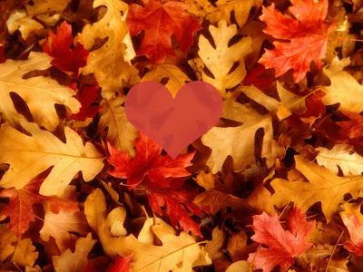 Ôde au retour de l'automne : pourquoi j'aime cette saison d'amour