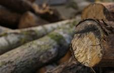 TELEVISION : Emissions de la saison 13/14 Artau1