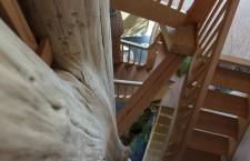 TELEVISION : Emissions de la saison 13/14 AADD1