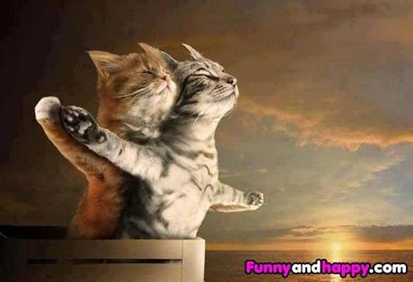 Ghibli et les mèmes Funny parody of Titanic