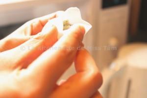 Cours Zhang Ha Cao La Kitchenette de Miss Tâm 15 Raviolis aux crevettes à la vapeur (Ha Kao) 蒸虾饺