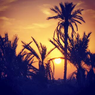 Visiter Djerba avec des enfants (Episode 2) Visiter Djerba avec des enfants (Episode 2)