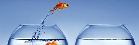 immigration L'immigration : le combat des castrateurs de libertés individuelles