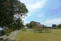 De Mexico à Cancún (6/6) : sur la route des Mayas, des temples et des cactus De Mexico à Cancún (6/6) : sur la route des Mayas, des temples et des cactus