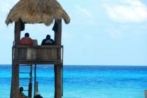 De Mexico à Cancún (6/6) : sur la route des Mayas, des temples et des cactus De Mexico à Cancún (6/6) : sur la route des Mayas, des temples et des cactus