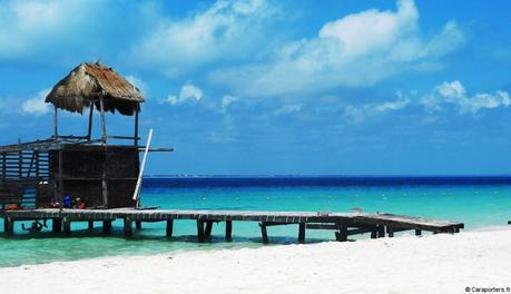 De Mexico à Cancún (6/6) : sur la route des Mayas, des temples et des cactus Mexique - Cancun et ses environs