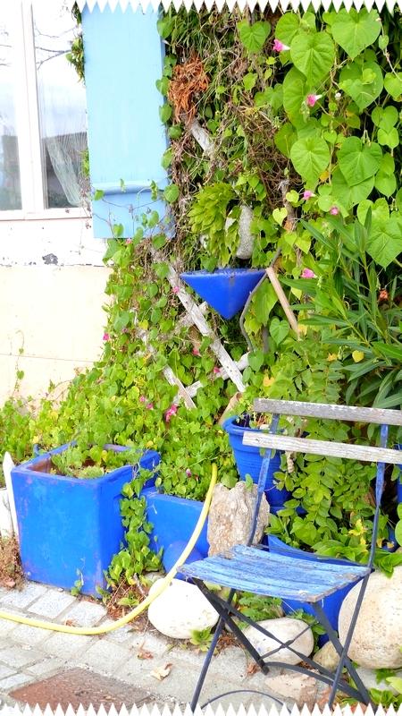 Carla bayle Carla bayle