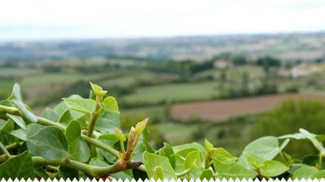 Carla bayle P1080316