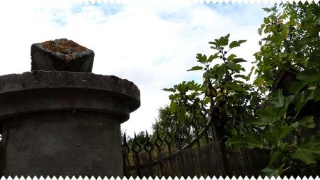 Carla bayle Carla bayle